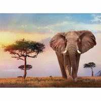 Africa Sunset Puzzle 500 Pezzi - Clementoni - 8005125350964