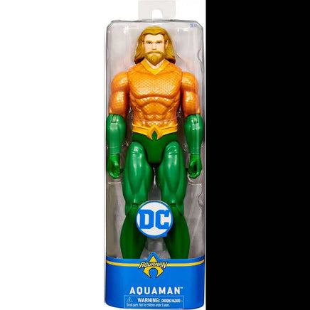 Aquaman Personaggio DC Comics 30 cm - Giocattoli e Bambini - Toys Store0778988307946