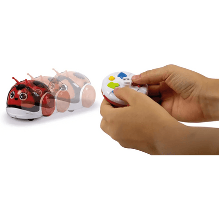 Coccinella Racing Bugs - Giocattoli e Bambini - Toys Store8005125174126