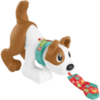 Fisher Price Tobia gattona con me cagnolino elettronico - Giocattoli e Bambini - Toys Store194735067312