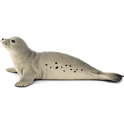 Foca Schleich - Giocattoli e Bambini - Toys Store4055744018084