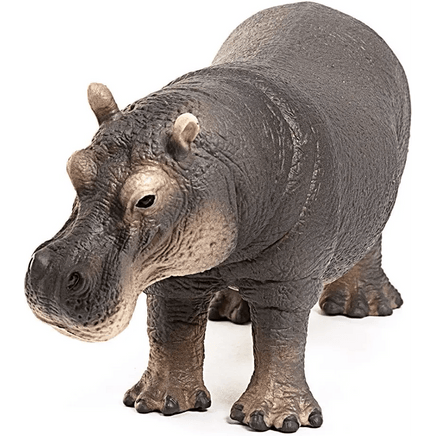 Ippopotamo Schleich - Giocattoli e Bambini - Toys Store4055744020827